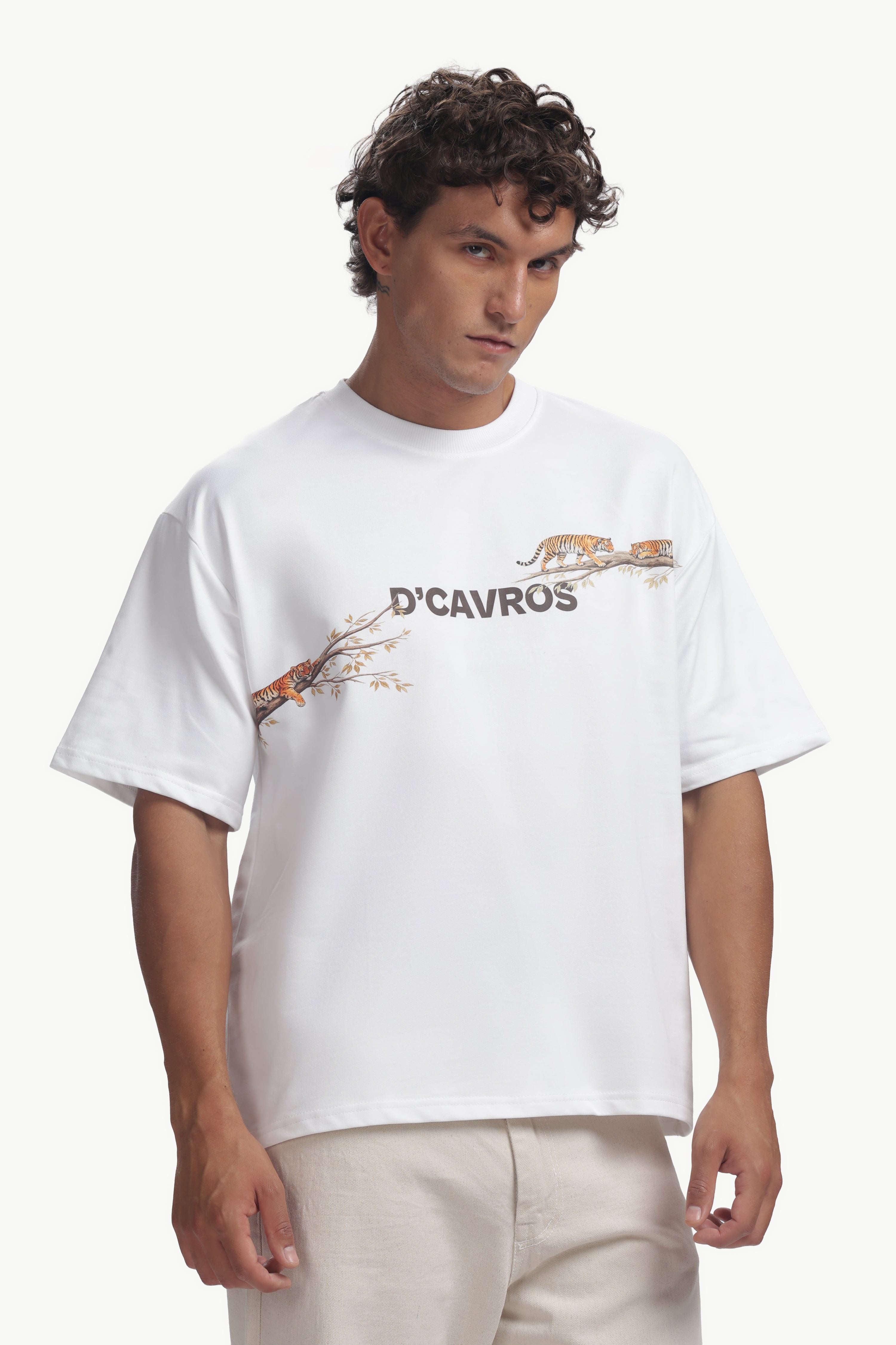 Tiger Graphics Design Men's T-Shirt