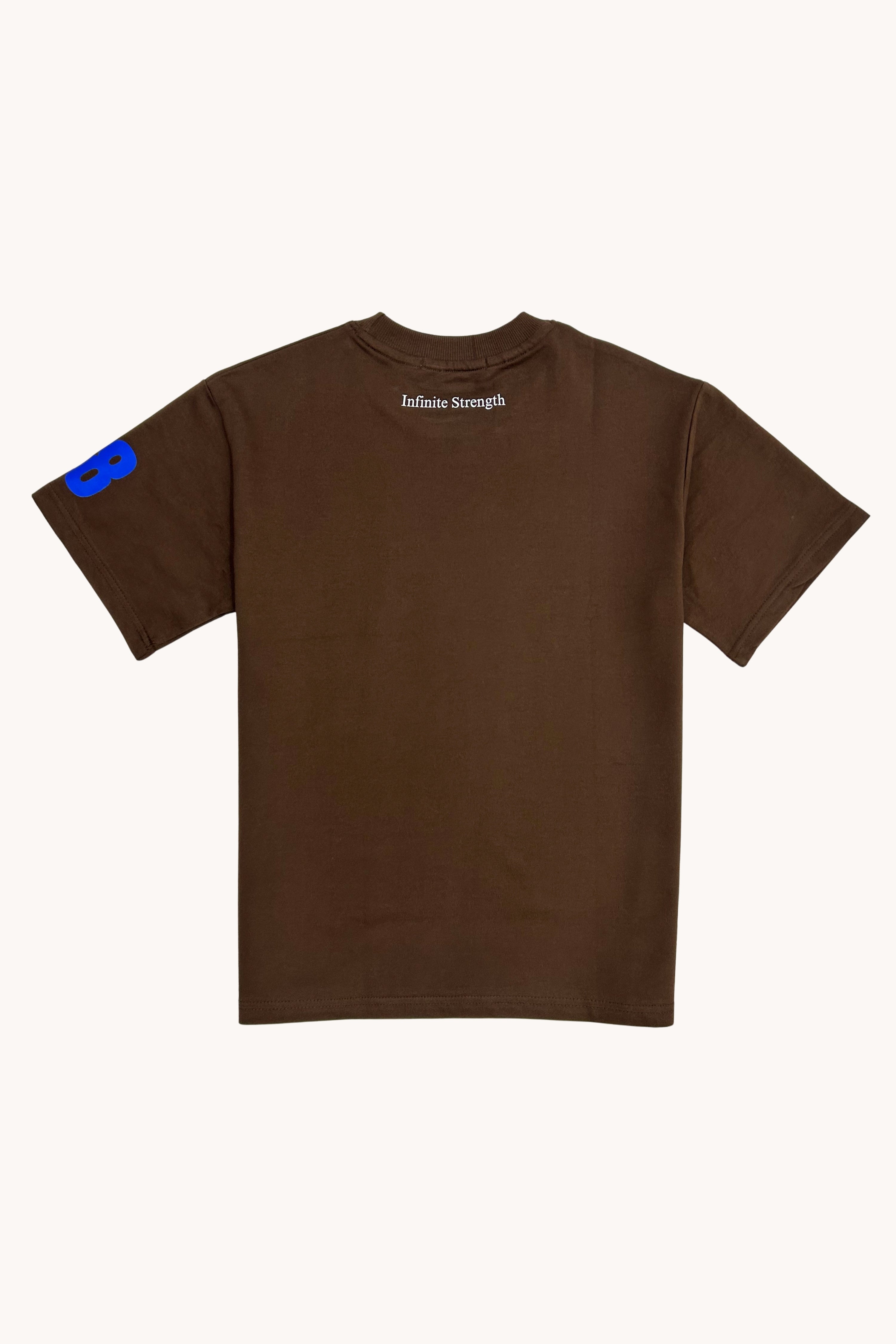 Loose Fit Resilience Printed T-Shirt showcasing a brown design with blue details on the sleeve and back for casual style.