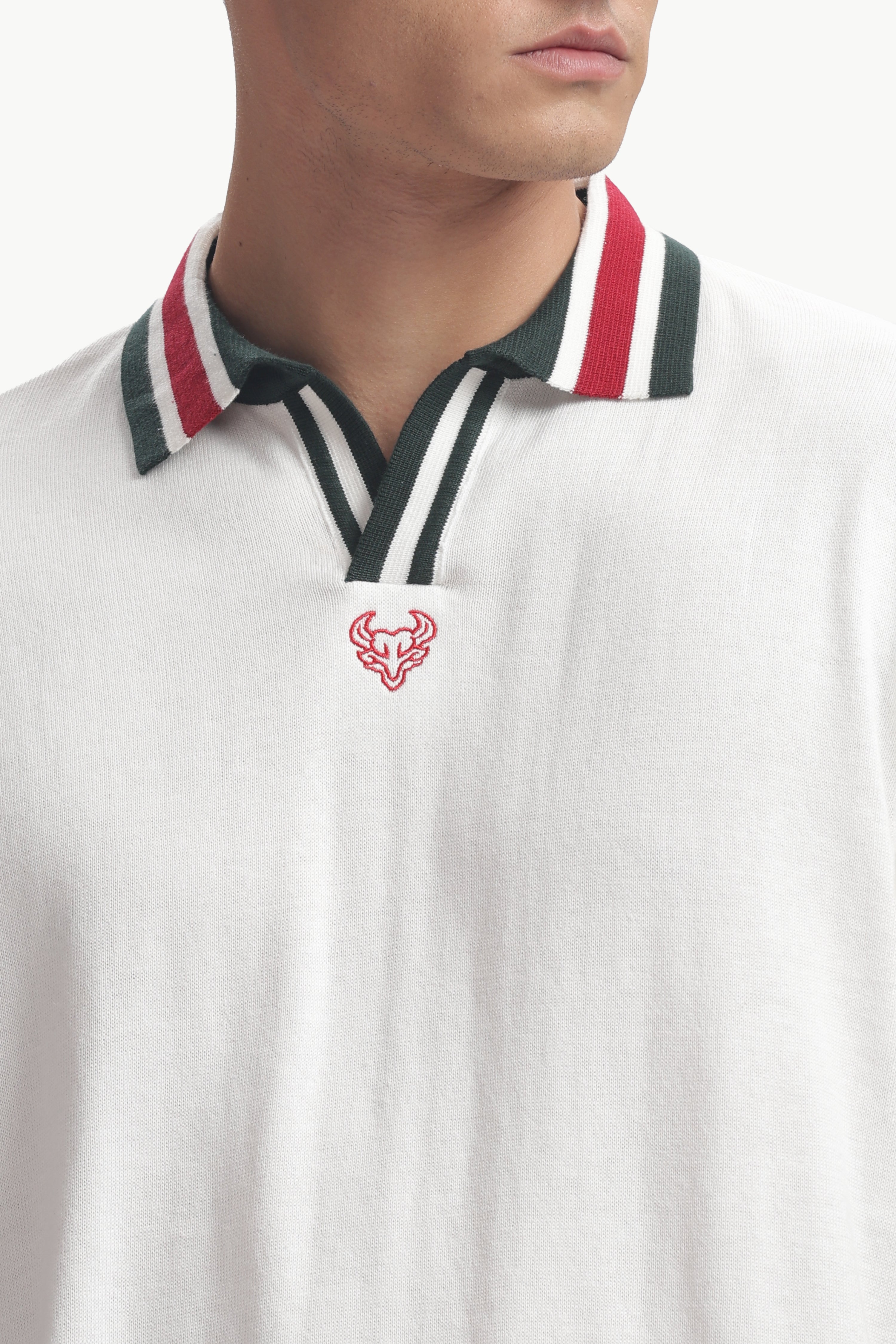 Close-up of a man wearing a Regular Fit Knitted Polo Shirt with contrast collar and refined embroidery detail.