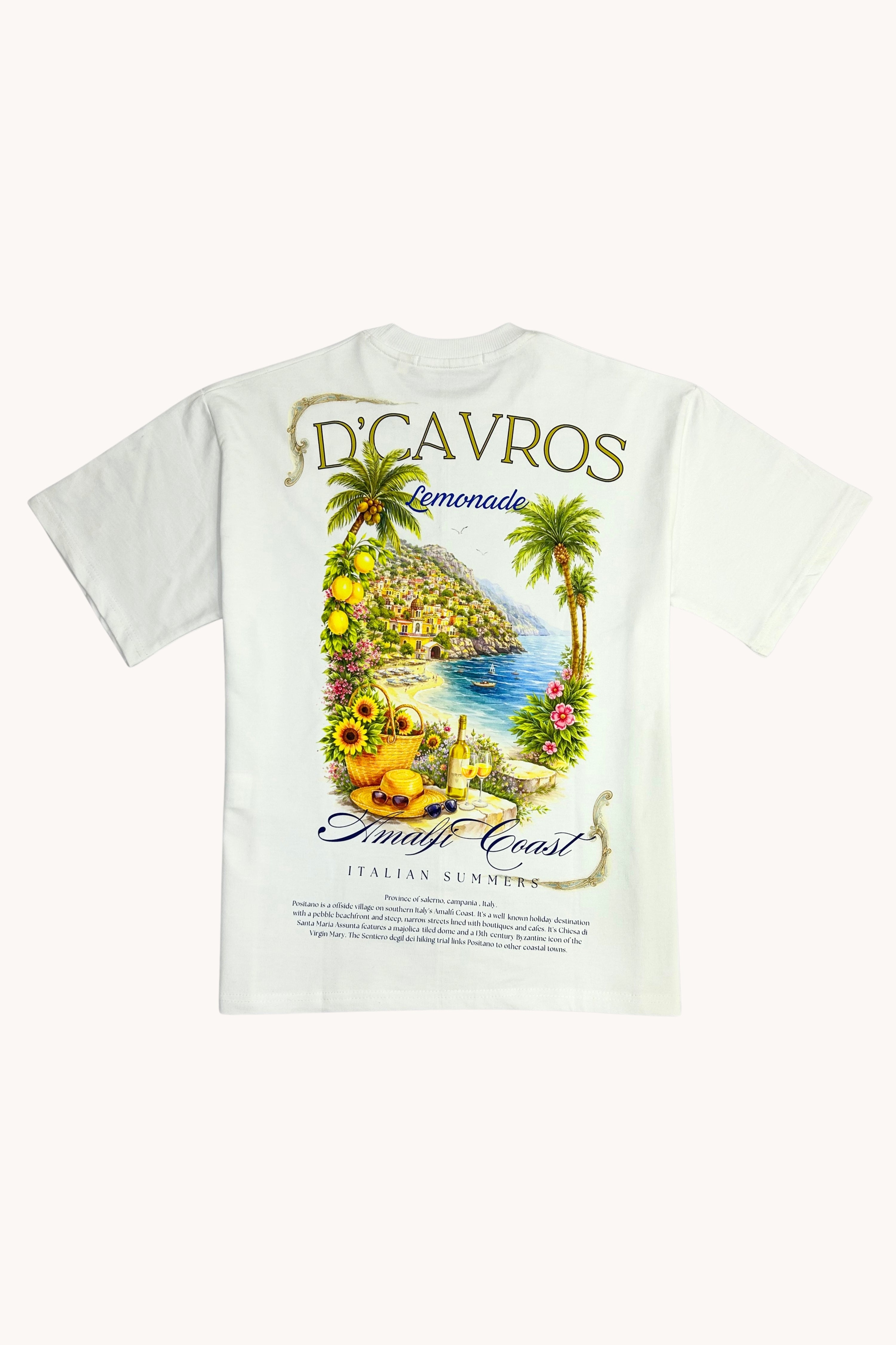 Amalfi coast Oversized Fit T-Shirt with vibrant coastal back print and summer graphic design.