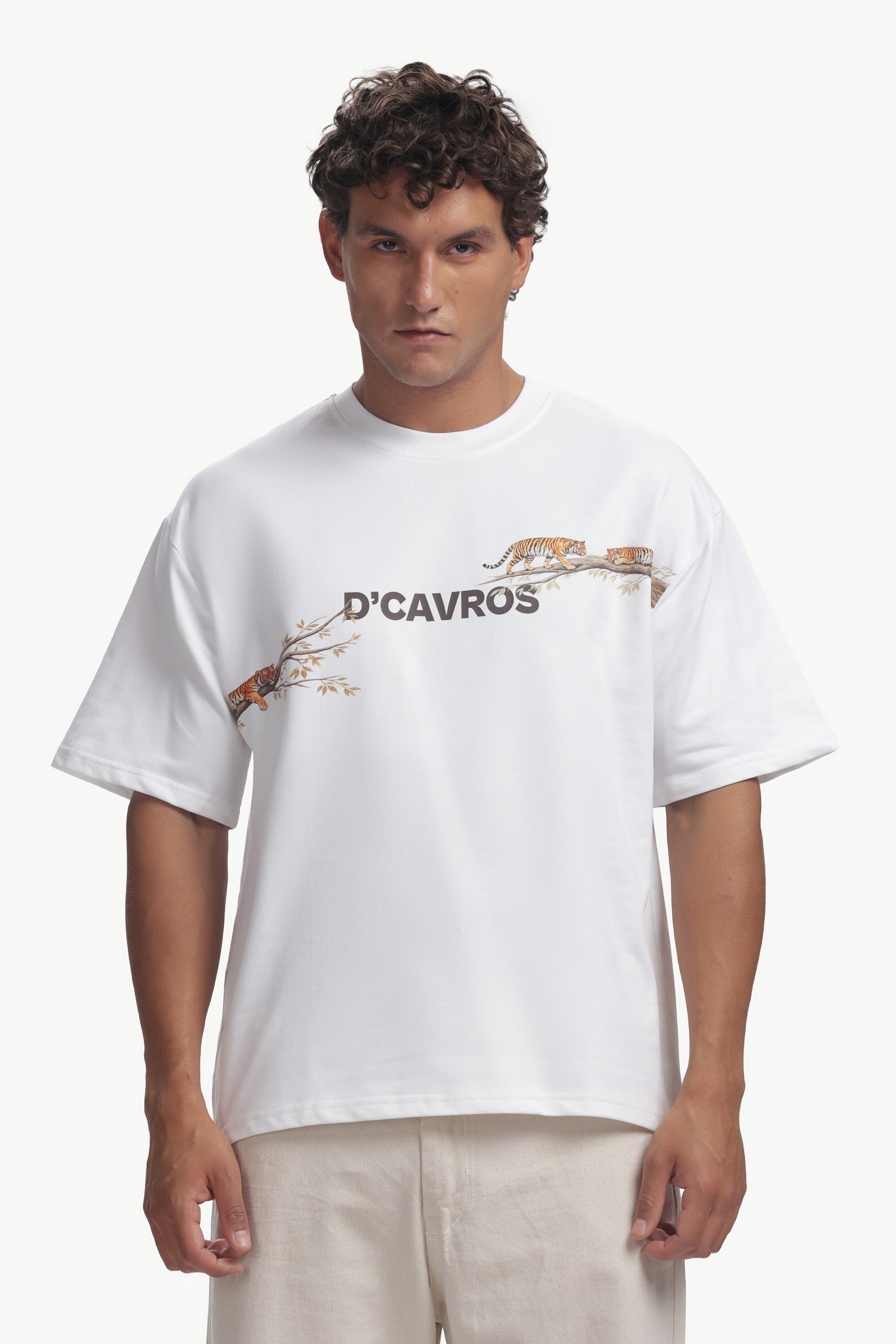 Tiger Graphics Design Men's T-Shirt