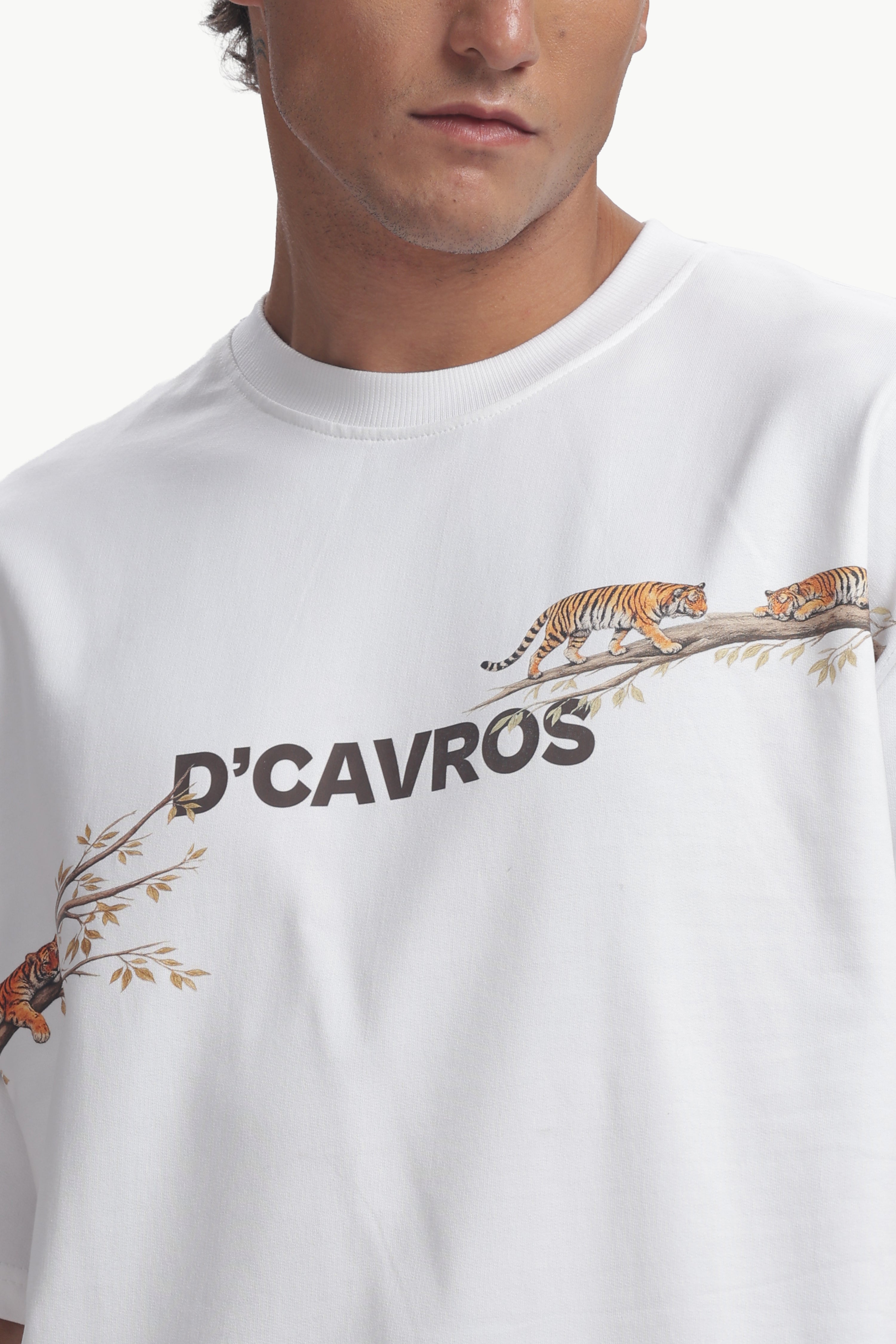 Tiger Graphics Design Men's T-Shirt