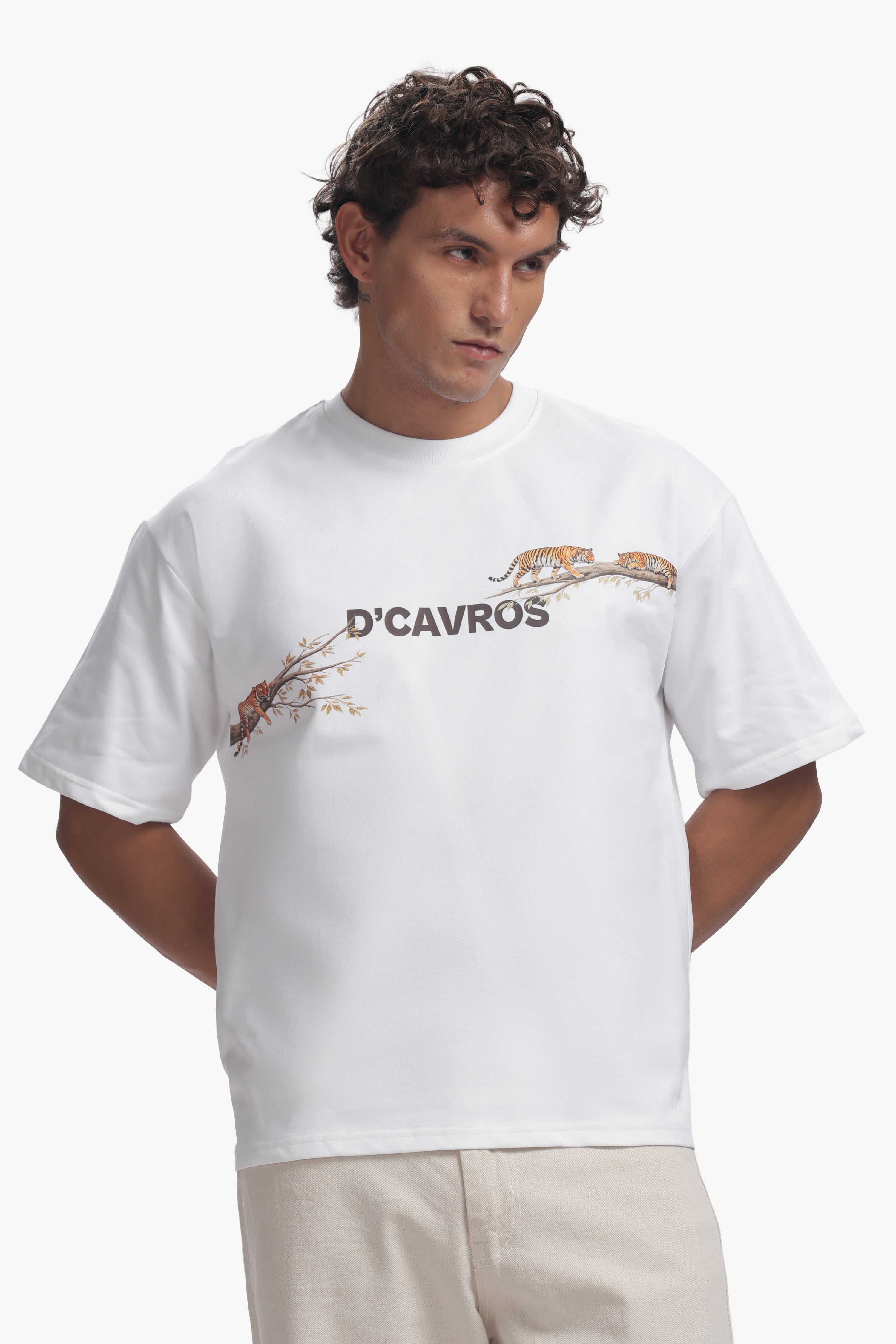 Tiger Graphics Design Men's T-Shirt