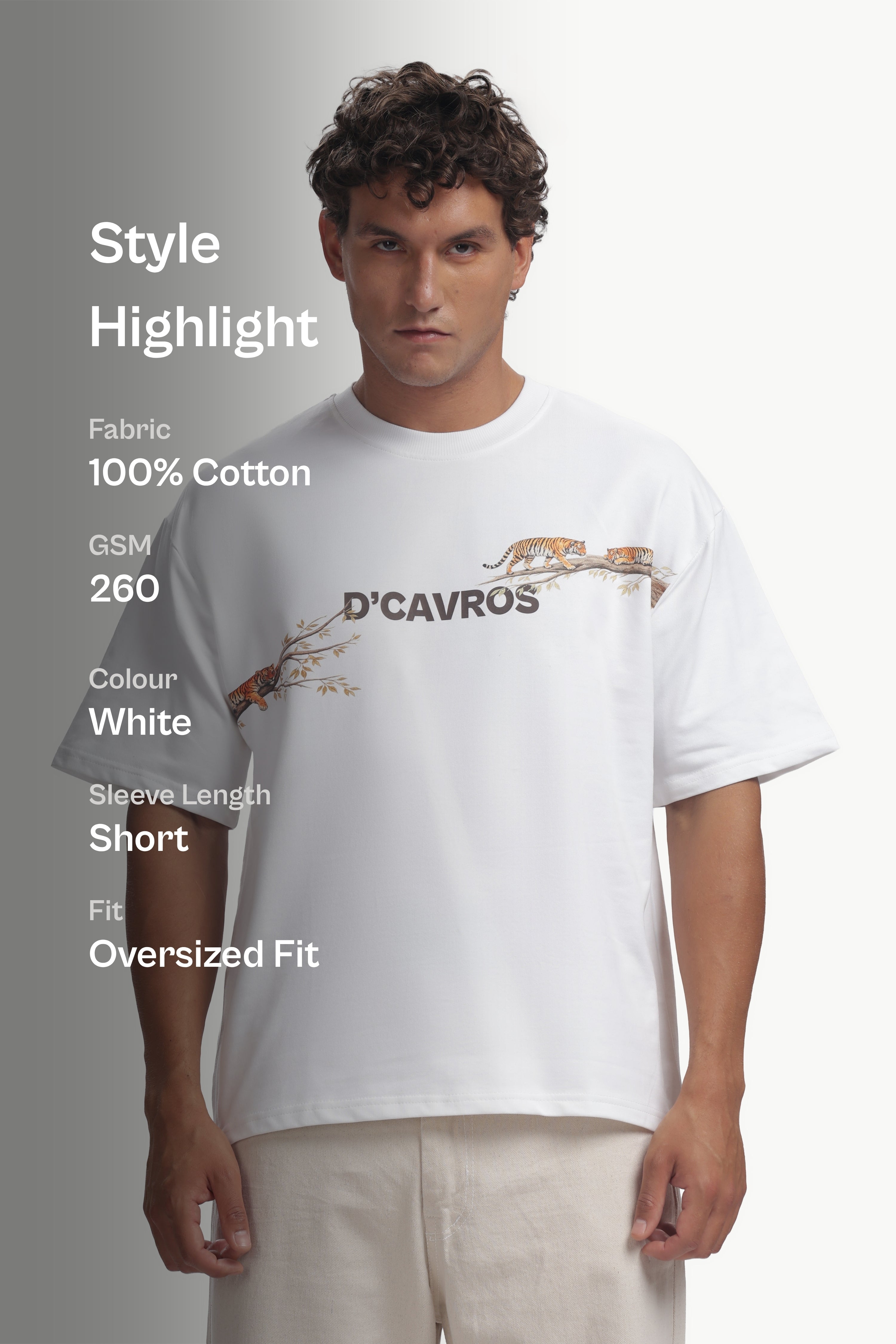 Tiger Graphics Design Men's T-Shirt