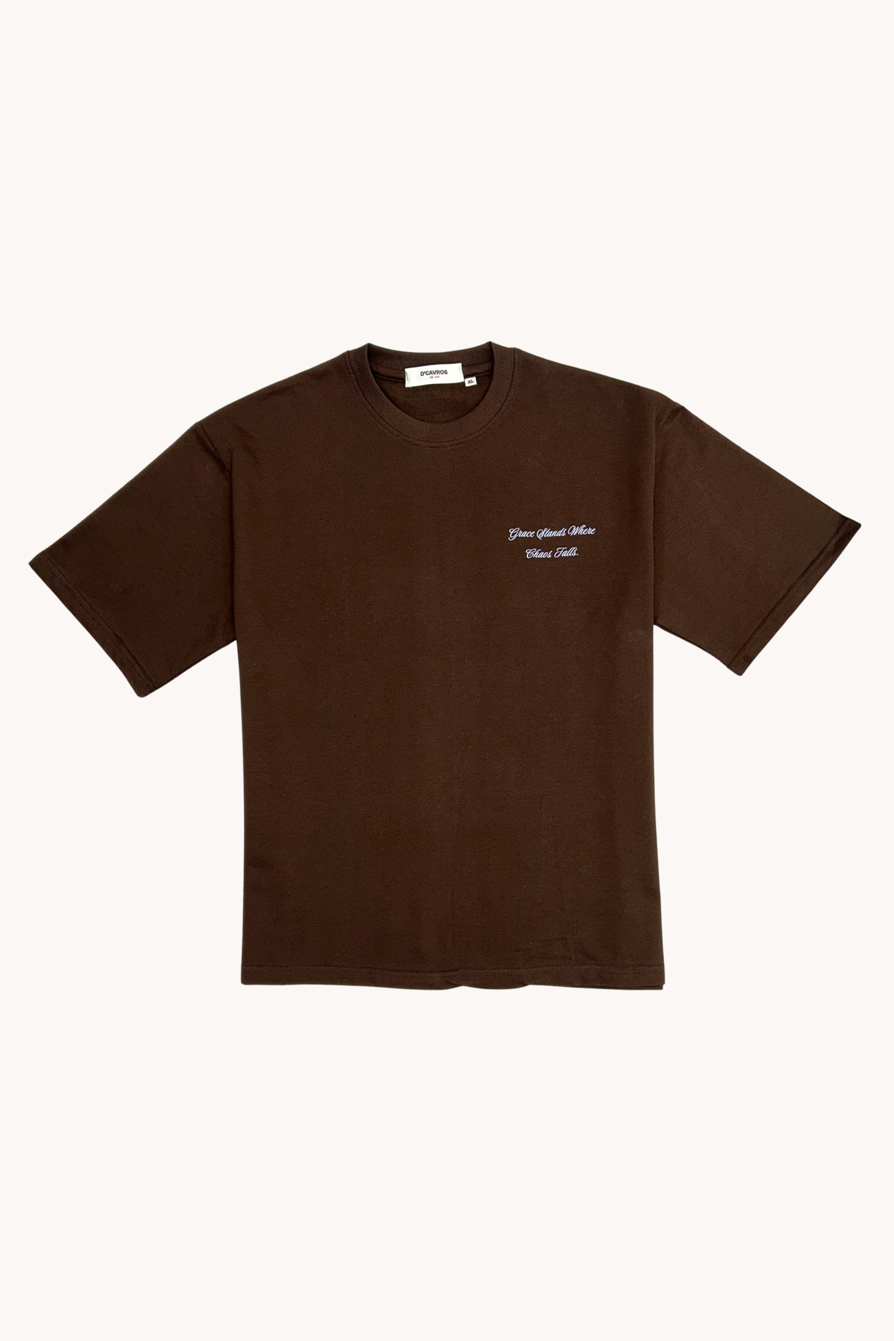 Oversized Fit Graphics Printed T-Shirt in brown with stylish front design and relaxed fit.