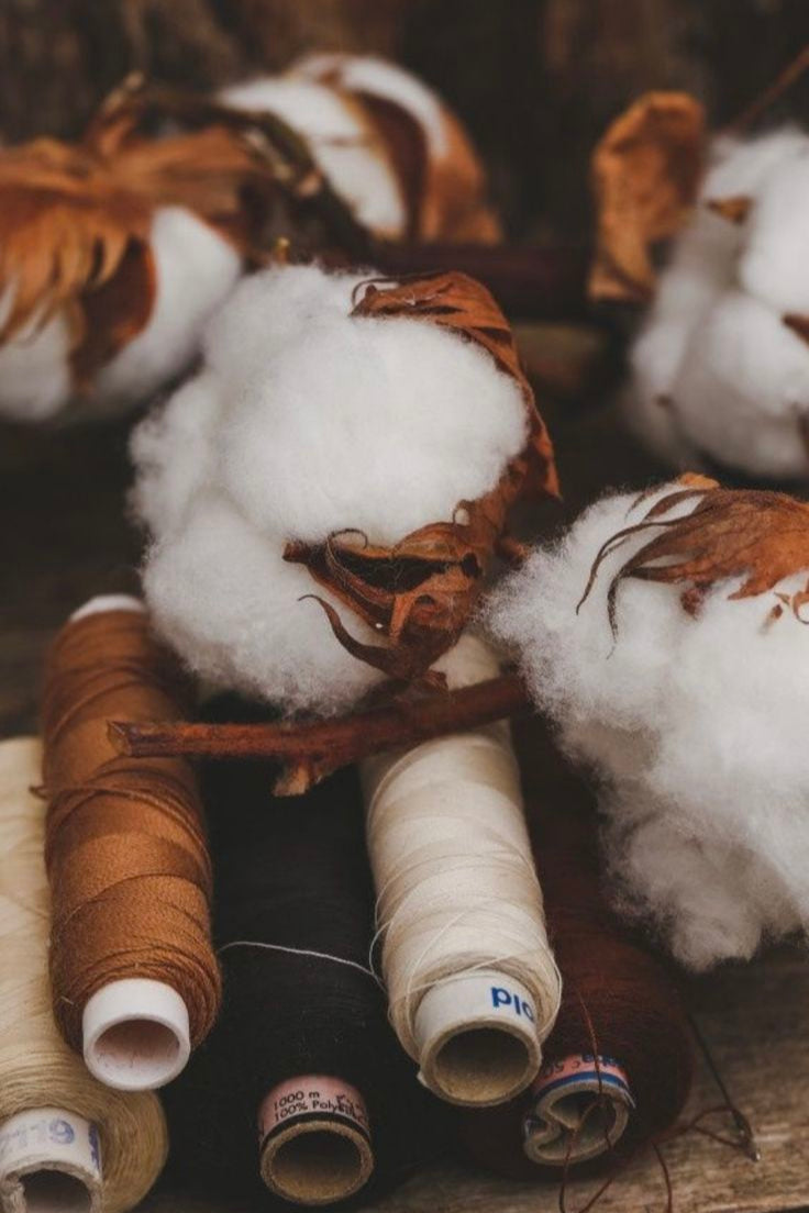 Spools of thread and cotton bolls on a wooden surface